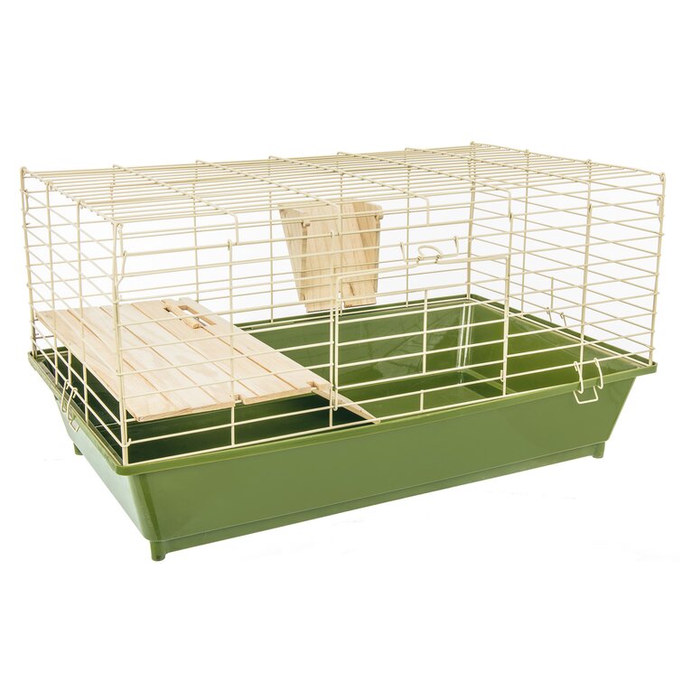 Guinea pig on sale ramps for sale